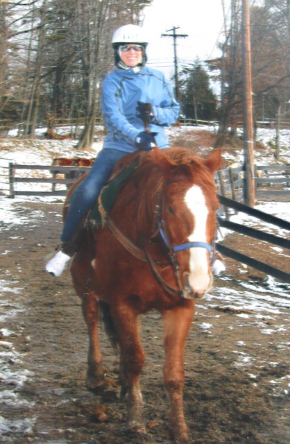Cat Horse 2813 alt gd