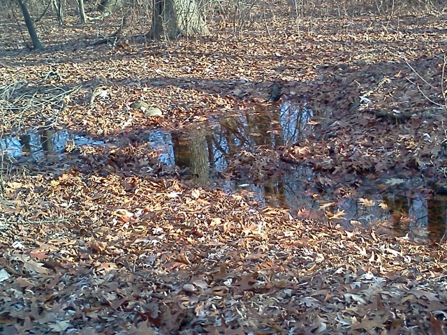 It may not look like much, but take the wrong path and it's 3 feet deep. 
On a previous ride my bike dove in upto the handlebars.  