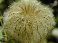 Highlight for Album: Biking paths of N.J., Pa. and Calif.