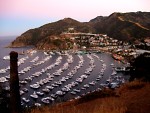 Avalon Marina, these boats have wound up in town after a bad storm.  The highest house is The Inn on Mt. Ada, the Wrigley residence.   1142