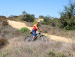 Dad Bikes 1436 alt