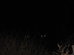 Deer in the head lights. 1148
