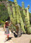 Gayle cactus 1106 alt
