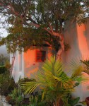 A Zane Grey bldg 1074