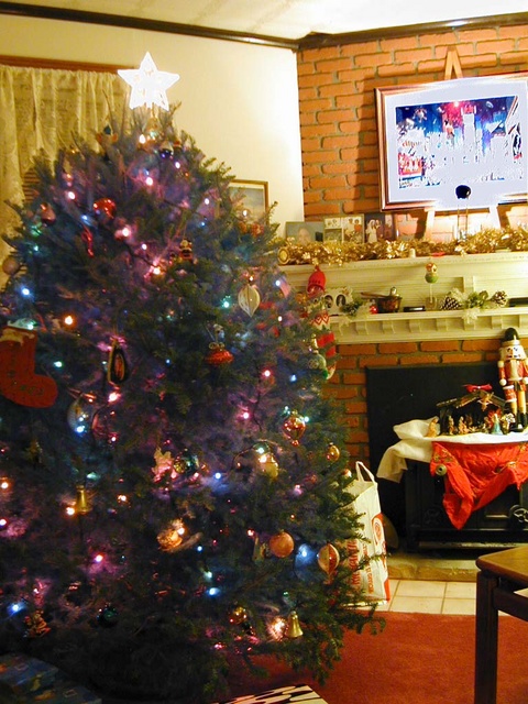 Our Tree
