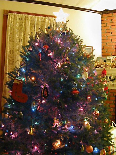 Tree lights