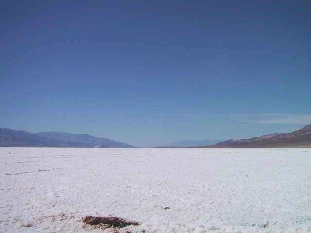 image42.jpg