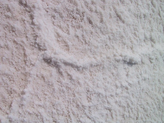 image43.jpg