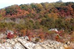 Trees 2