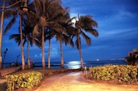 Highlight for Album: Hawaiian Pics