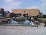 me & deer