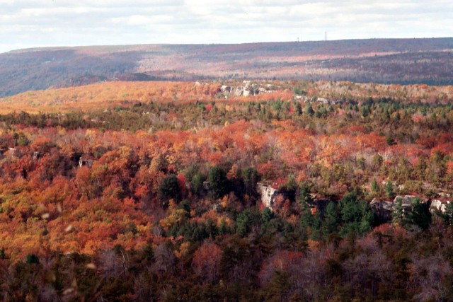2007 Forest 2
