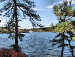Lake good 1545, 2010