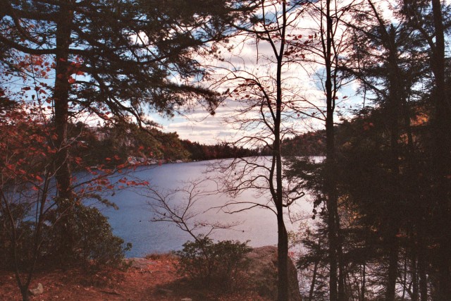 2007 Lake thru trees