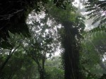 IMG_0573.JPG