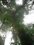 IMG_0657.JPG