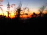 IMG_0673.JPG