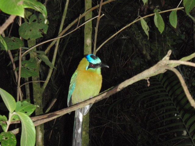 PC260199.JPG