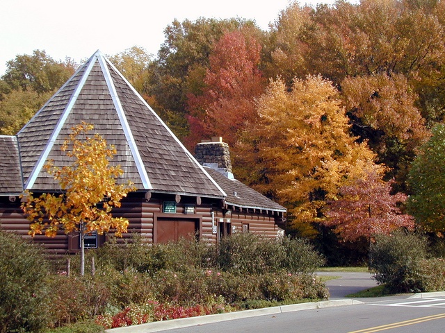 Willowbrook with a splash of color