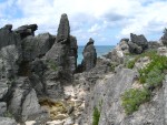 Cove rocks 731