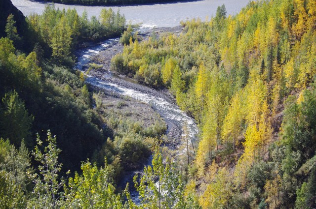 Gulch 4828