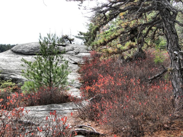 Minnewaska hike 4269
