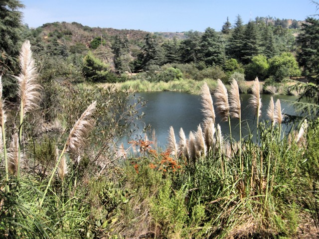 Plume lake 2481