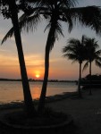 Another sunrise from campsite at Sugarloaf Key.   4661