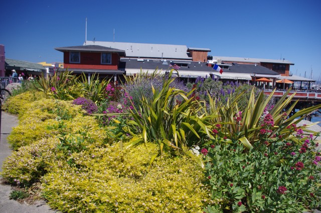 Fisherman's Wharf Monterey, Ca  3692
