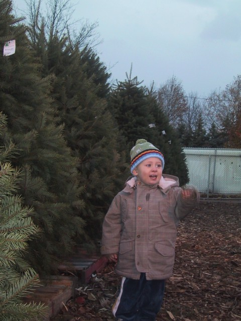 image144.jpg