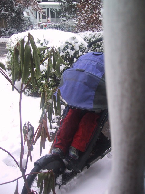 image190.jpg