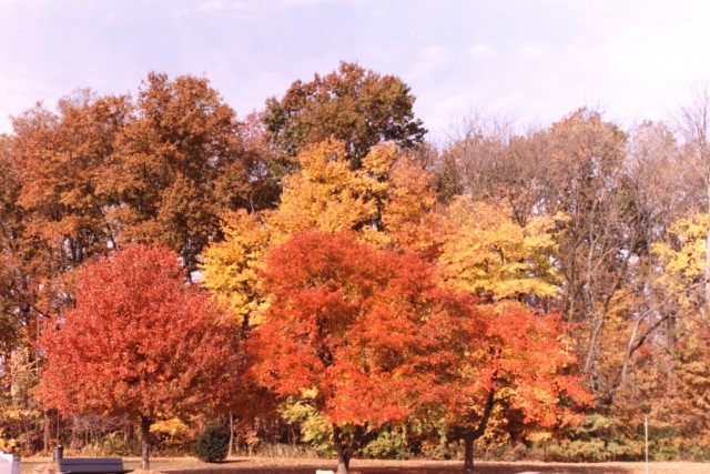 Willowbrook Pk OCT 04