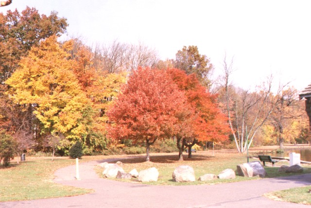 Willowbrook Pk