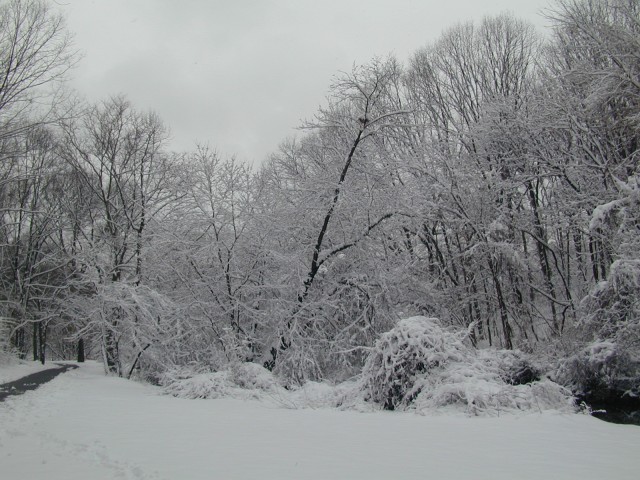 Snow covered