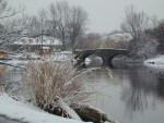 Tall grass n bridge