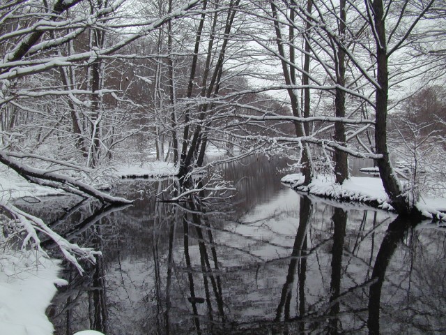 Lower Clove Lake
