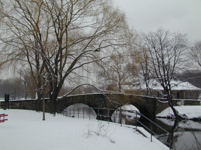 Willow n Bridge