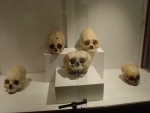 DSC02485.JPG