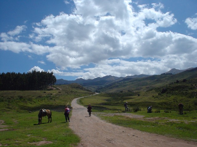 DSC02515.JPG