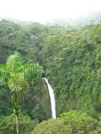 IMG_0883.JPG