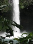 IMG_0906.JPG