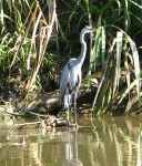 IMG_0770.JPG