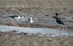IMG_0792.JPG
