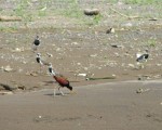 IMG_0802.JPG