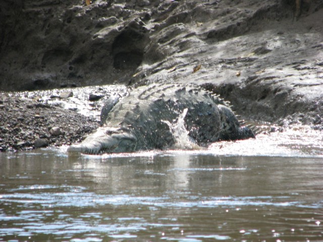 IMG_0806.JPG