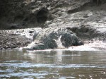 IMG_0806.JPG