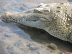 IMG_0826.JPG