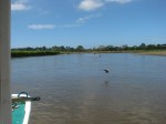 IMG_0847.JPG