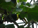 IMG_1037.JPG