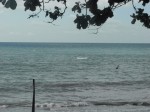 IMG_1151.JPG